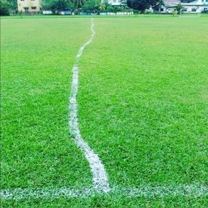 Meet your Posher, Terry